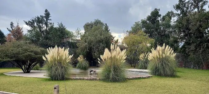 Jardín de Casalago con estanque y pastos altos
